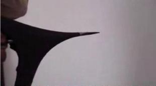 建筑建材領(lǐng)域技術(shù)轉(zhuǎn)讓與開發(fā) 引氣劑、外墻彈性膩子粉、水泥脫模劑應(yīng)用前景